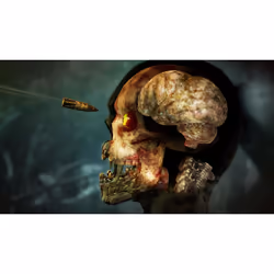 Rebellion Zombie Army 4 : Dead War Standard Allemand, Chinois simplifié, Coréen, Espagnol, Français, Italien, Japonais, Polonais, Portugais, Russe PlayStation 4