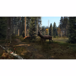 Sold Out DayZ Standard PlayStation 4 - Vue supplémentaire 10