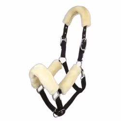 Licol pour cheval LeMieux Comfort