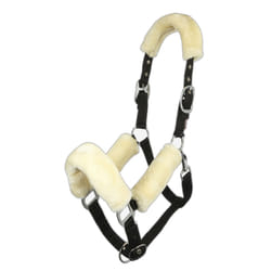 Licol pour cheval LeMieux Comfort