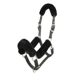 Licol pour cheval LeMieux Comfort