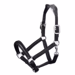 Licol pour cheval LeMieux Anatomic