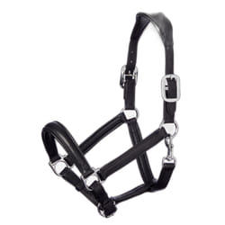 Licol pour cheval LeMieux Anatomic
