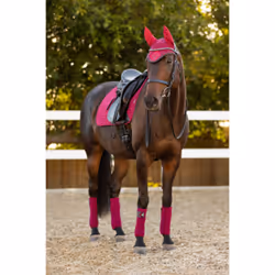Tapis de dressage pour cheval LeMieux