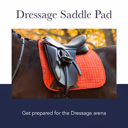 Tapis de dressage pour cheval daim LeMieux
