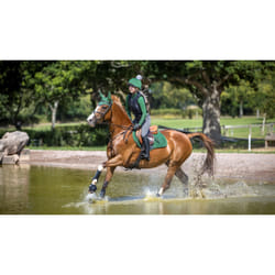 Tapis de selle pour cheval en suède LeMieux Close Contact