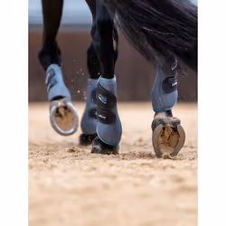 Guêtres en carbone pour cheval LeMieux