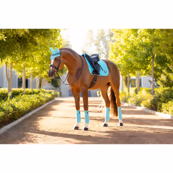 Tapis de dressage pour cheval LeMieux Loire Classic