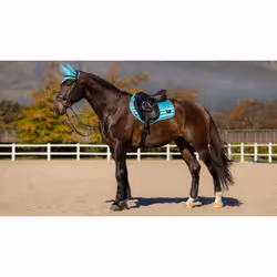 Tapis de selle pour cheval LeMieux Classic Close Contact