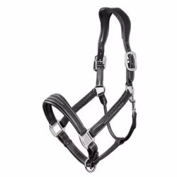 Licol pour cheval cuir LeMieux Stitched Comfort