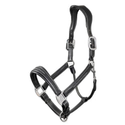 Licol pour cheval cuir LeMieux Stitched Comfort