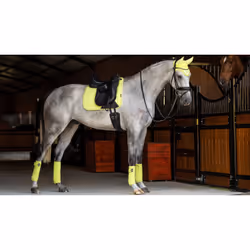 Tapis de dressage pour cheval LeMieux Suede