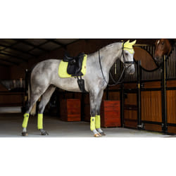 Tapis de dressage pour cheval LeMieux Suede