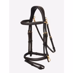 Bridon équitation pour cheval LeMieux Work