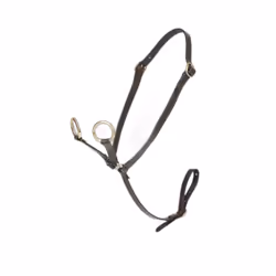 Martingale pour poney LeMieux