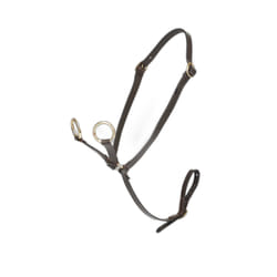 Martingale pour poney LeMieux