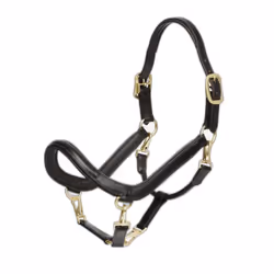 Licol pour cheval en cuir LeMieux Grooming
