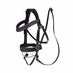 Bridons de concours déquitation pour chevaux de loisir LeMieux Hobby Horse