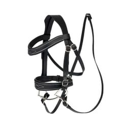 Bridons de concours déquitation pour chevaux de loisir LeMieux Hobby Horse