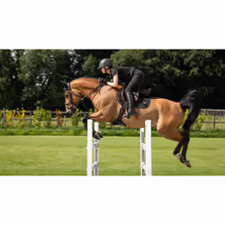 Tapis de selle pour cheval LeMieux Puissance