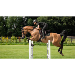 Tapis de selle pour cheval LeMieux Puissance
