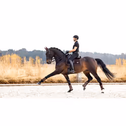 Tapis de dressage pour cheval LeMieux Puissance Suede