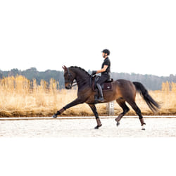 Tapis de dressage pour cheval LeMieux Puissance Suede