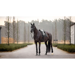 Tapis de dressage pour cheval LeMieux Puissance Suede