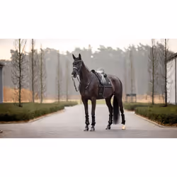 Tapis de dressage pour cheval LeMieux Puissance Suede