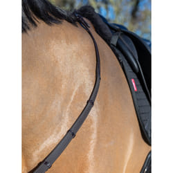 Rênes pour cheval caoutchouc LeMieux Eventa