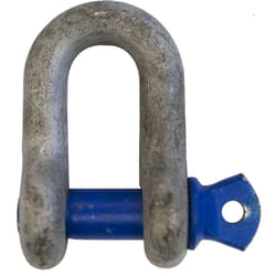 Rs Pro - Manille en d en Alliage d'acier, 1t ( Prix pour 1 )