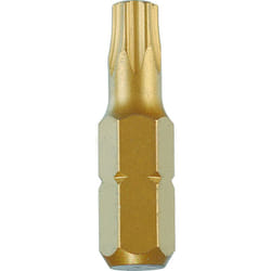 Rs Pro - Embout de vissage Torx de 10 pièces , T20 ( Prix pour Boîte de 1 )