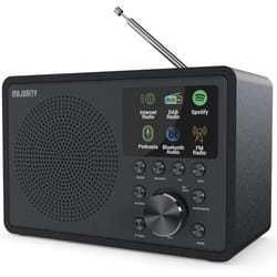 Radio Majority Touro Internet avec Bluetooth et Spotify Connect