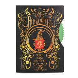 Thumbs Up 5056563712824 bloc-notes A5 80 feuilles Multicolore