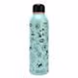Bouteille deau - BLUE SKY - LOONEY TOONS - Acier inoxydable - 750 ml - Couleur bleu