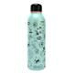 Bouteille deau - BLUE SKY - LOONEY TOONS - Acier inoxydable - 750 ml - Couleur bleu