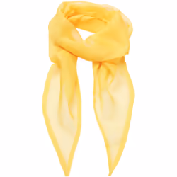 Foulard mousseline femme Premier