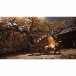 Take-Two Interactive Black Myth: Wukong Standard PlayStation 5 - Vue supplémentaire 6