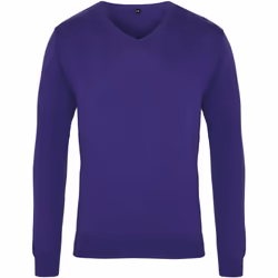 Premier - Pull à col en V - Homme (Pourpre)