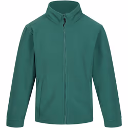 Regatta Thor 300 - Veste polaire - Homme (Vert bouteille)