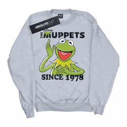 Disney - Sweat THE MUPPETS SINCE - Homme (Gris chiné)