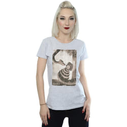 Disney - T-shirt THE JUNGLE BOOK HYPNOSIS - Femme (Gris chiné)