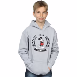 Disney - Sweat à capuche - Garçon (Gris chiné)