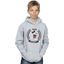 Disney - Sweat à capuche - Garçon (Gris chiné)