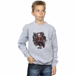 Marvel - Sweat - Garçon (Gris chiné)