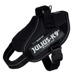 Harnais pour chien - TRIXIE - Julius-K9 IDC - Mini - Ergonomique - Sangles ajustables - Noir