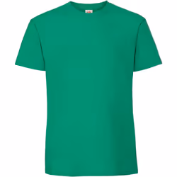 Fruit Of The Loom - T-shirt - Hommes (Vert kelly)