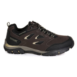 Regatta Holcombe Low Mâle Adulte Noir, Marron