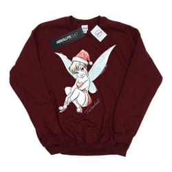 Disney - Sweat FAIRY - Garçon (Bordeaux)