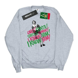 Elf - Sweat SANTA'S COMING - Homme (Gris chiné)